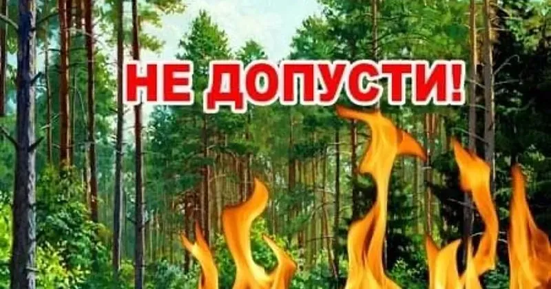 Фото з відкритих мереж Щороку восени та навесні починається сезон спалювання сухостою. Чи знаєте ви, що спалювання листя та сухої трави заборонено в Україні? Це не лише шкодить довкіллю, а й вашому здоров’ю. До того ж, це може призвести до серйозних юридичних наслідків.