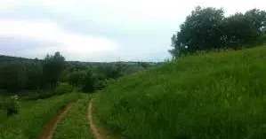 Фото з відкритих джерел У Токарівці ворожий дрон атакував місцевих мешканців.