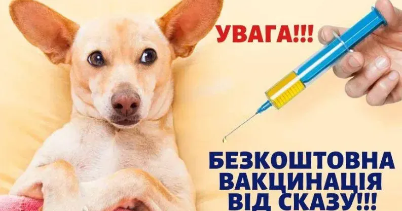 Знову про сказ! З метою профілактики сказу домашніх тварин фахівці Харківської обласної державної лікарні ветеринарної медицини з 19 по 23 лютого проведуть подвірний обхід мешканців приватного сектору для здійснення профілактичних щеплень собак та котів від сказу.
