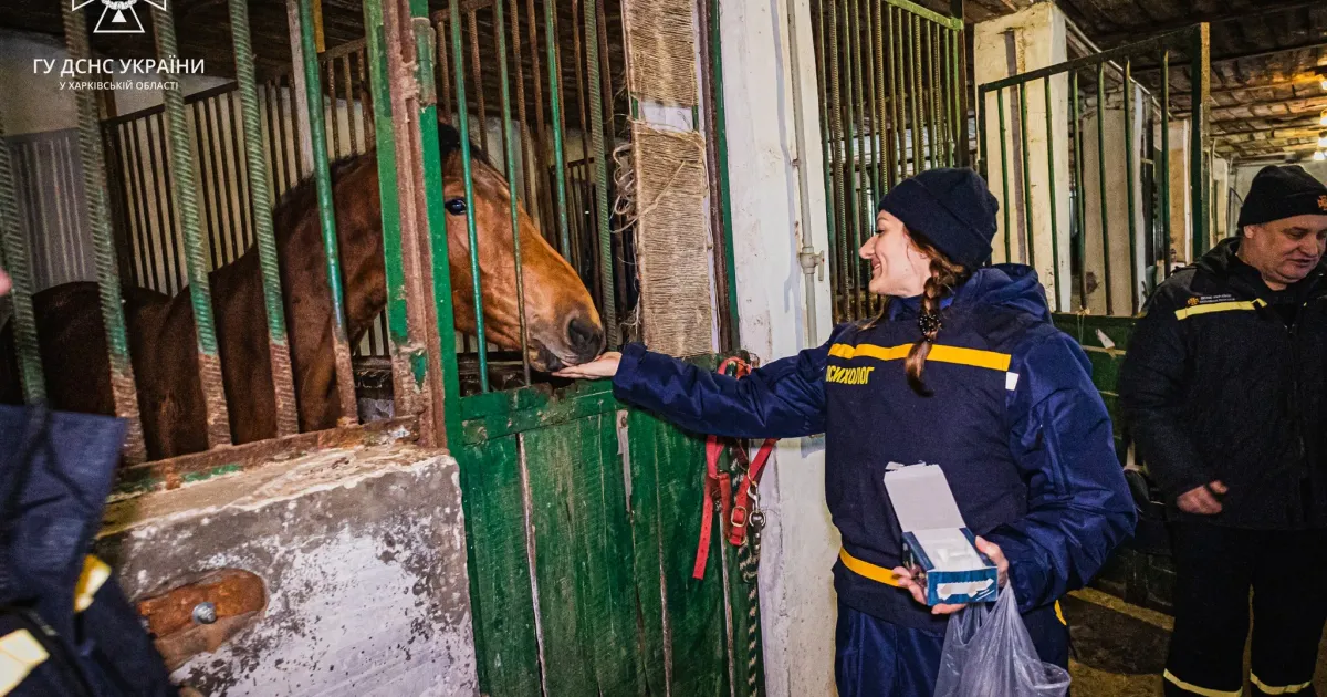 Іпотерапія допомагає ДСНСникам Куп’янщини відновлюватися Набув реалізації благодійний проєкт підтримки ментального здоров’я рятувальників Куп’янщини. Нещодавно вони мали змогу вже вдруге відвідати лікувальний сеанс у Малоданилівській кінно-спортивній школі…