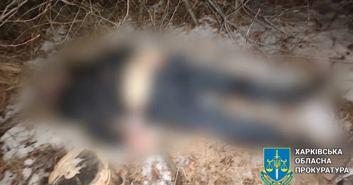 Фото Харківської обласної прокуратури Як повідомив пресцентр Харківської обласної прокуратури, за процесуального керівництва Дергачівської окружної прокуратури розпочато досудове розслідування за фактом порушення законів та звичаїв війни, поєднаного з умисним вбивством (ч. 2 ст. 438 КК України).