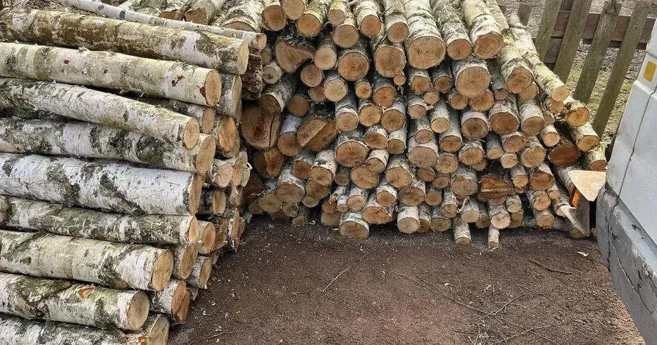 Фото з відкритих джерел Відповідне рішення вчора ухвалив Уряд. Зокрема, мешканці територій, де ведуться/велися бойові дії, зможуть безкоштовно заготовляти паливну деревину для побутових потреб. Йдеться про порубкові рештки, які залишаються після вирубки.